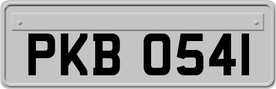PKB0541