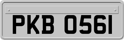 PKB0561