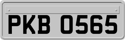 PKB0565