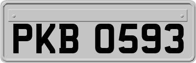 PKB0593