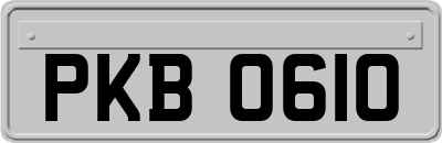 PKB0610