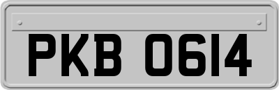 PKB0614