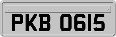 PKB0615