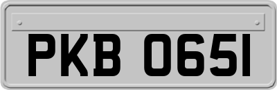 PKB0651