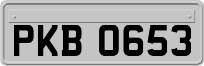 PKB0653
