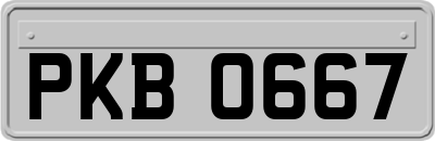 PKB0667