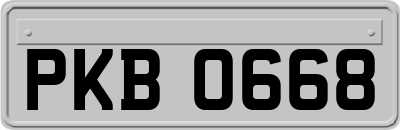PKB0668