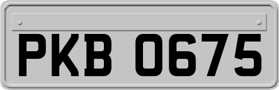 PKB0675