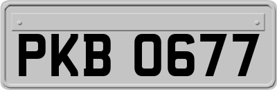 PKB0677