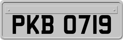 PKB0719