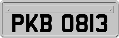 PKB0813