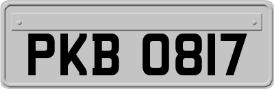 PKB0817