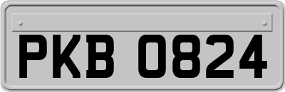 PKB0824