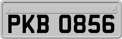PKB0856