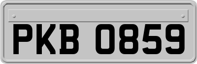 PKB0859