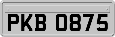 PKB0875