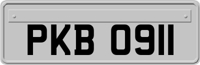 PKB0911