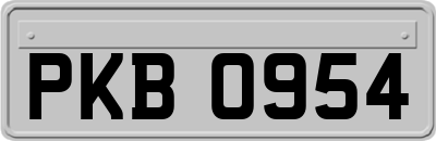 PKB0954