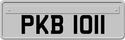 PKB1011