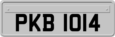 PKB1014