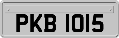 PKB1015