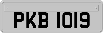 PKB1019