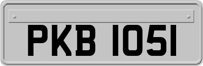 PKB1051