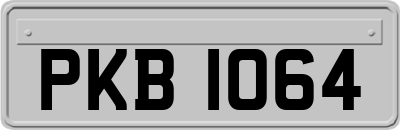 PKB1064
