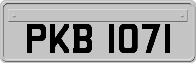 PKB1071