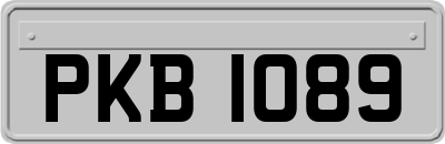 PKB1089
