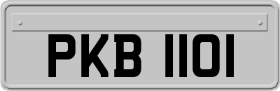 PKB1101