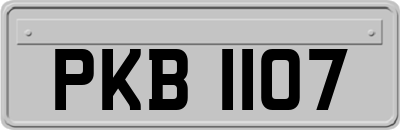 PKB1107