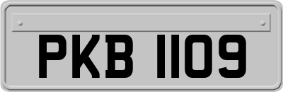 PKB1109