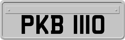 PKB1110