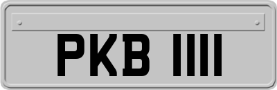 PKB1111
