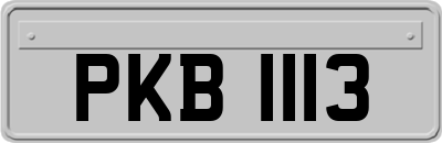 PKB1113