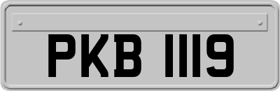 PKB1119