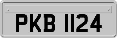PKB1124