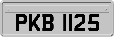 PKB1125