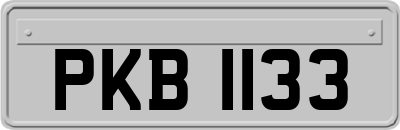 PKB1133