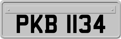 PKB1134