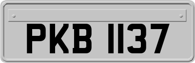 PKB1137