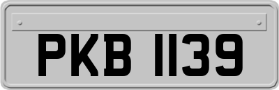 PKB1139