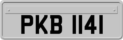 PKB1141