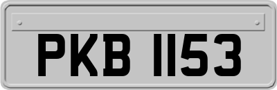 PKB1153