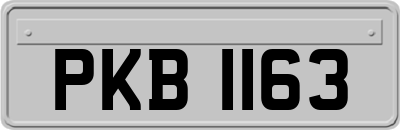 PKB1163