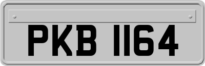 PKB1164