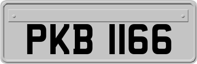 PKB1166