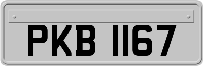 PKB1167