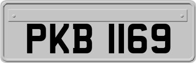 PKB1169